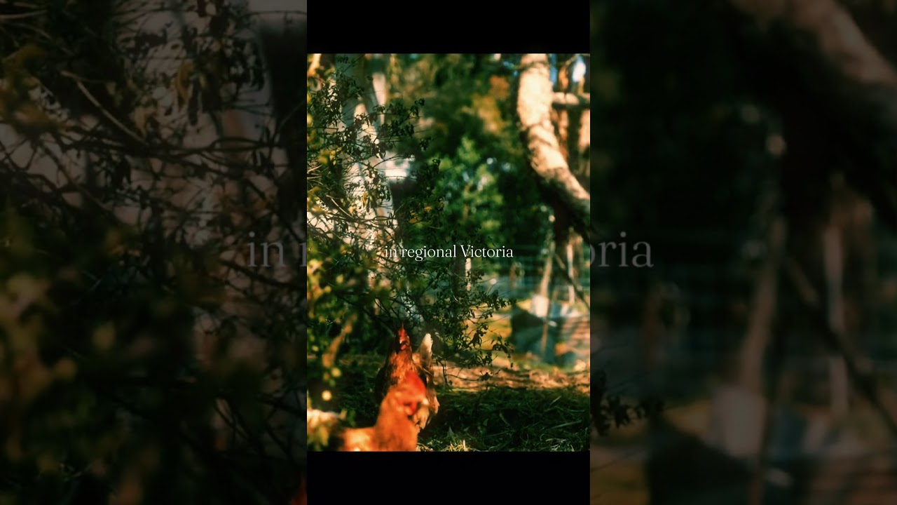 🏡✨️Mystical Farm in VIC | 