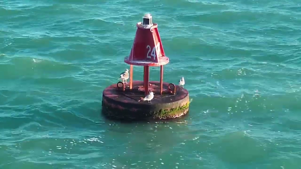 Key West - January 2026