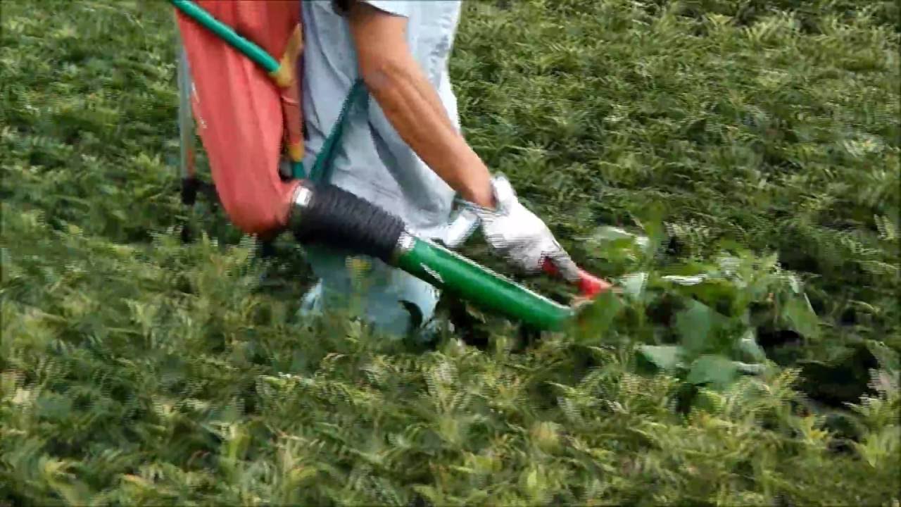 Fertilizer applicator Green Samper