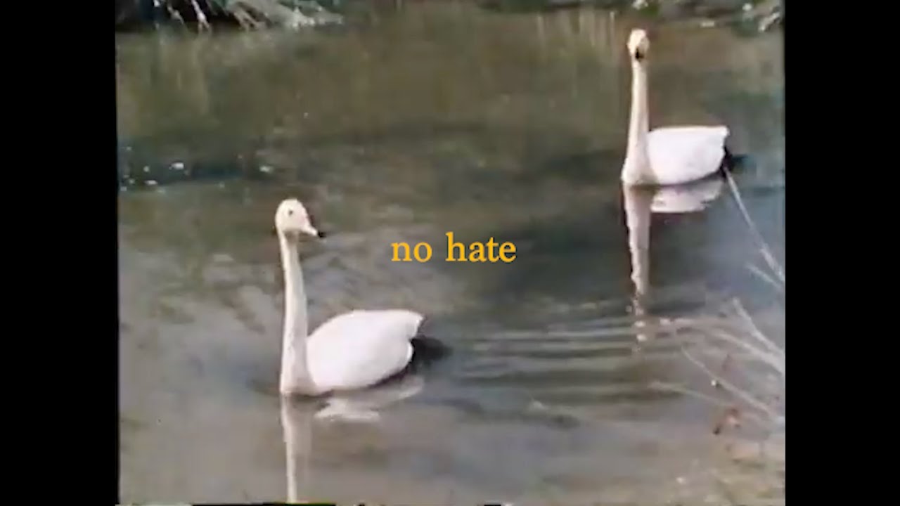 no hate