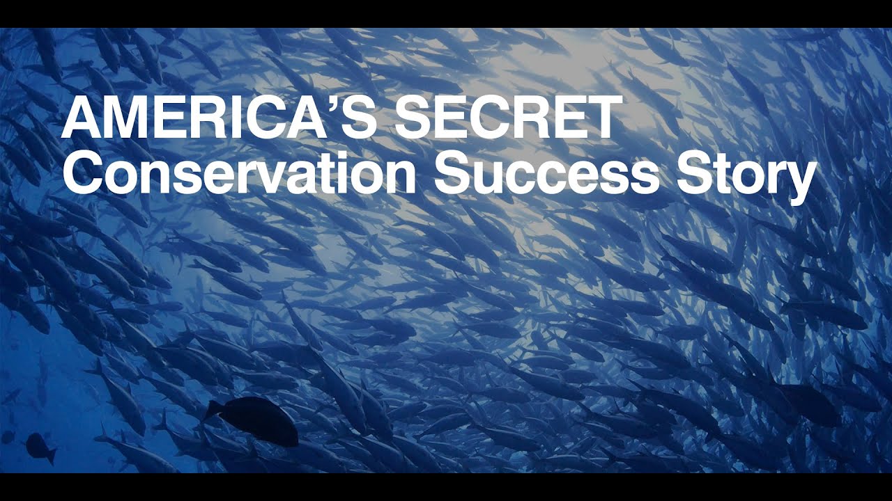 America's secret conservation success story