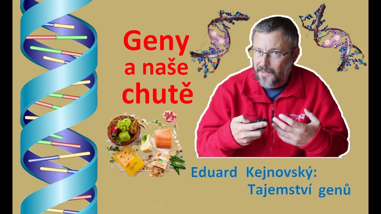 Proč nám (ne)chutná pivo? (Tajemství genů 90)