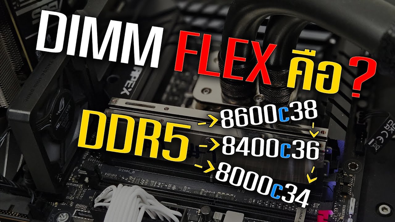 ROG DIMM FLEX คืออะไร?