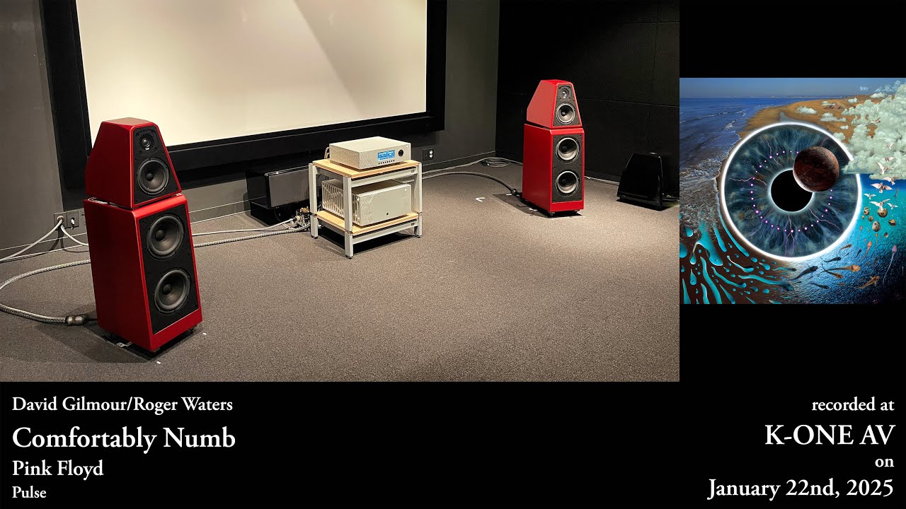 Pink Floyd — Comfortably Numb ~ Wilson Audio The WATT/Puppy | Boulder 1160 | 1110 | dCS LINA