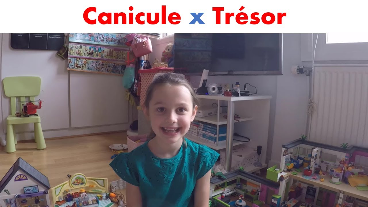 PLAYMOBIL : Canicule x Trésor
