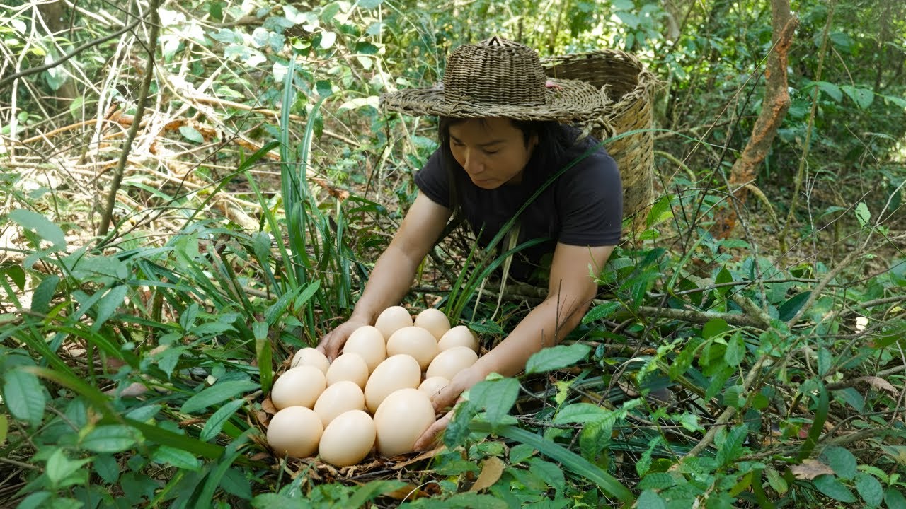 Searching for wild food in the forest, I stumbled upon strange eggs - Cooking, wilderness survival