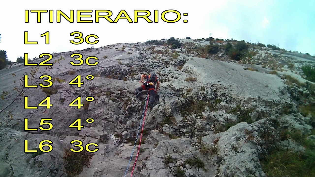 46° parallelo placche zebrate ( lago di garda )