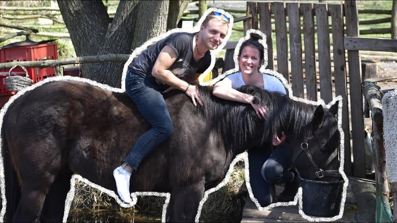Voda a splašené kone? #Vlog4