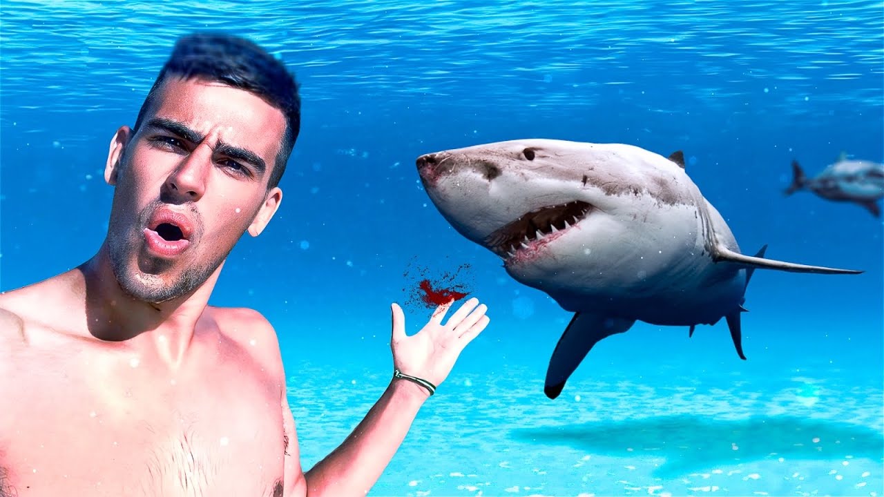 Buceando con Tiburones En Maldivas 🇲🇻 - Mochilero en Maldivas 4