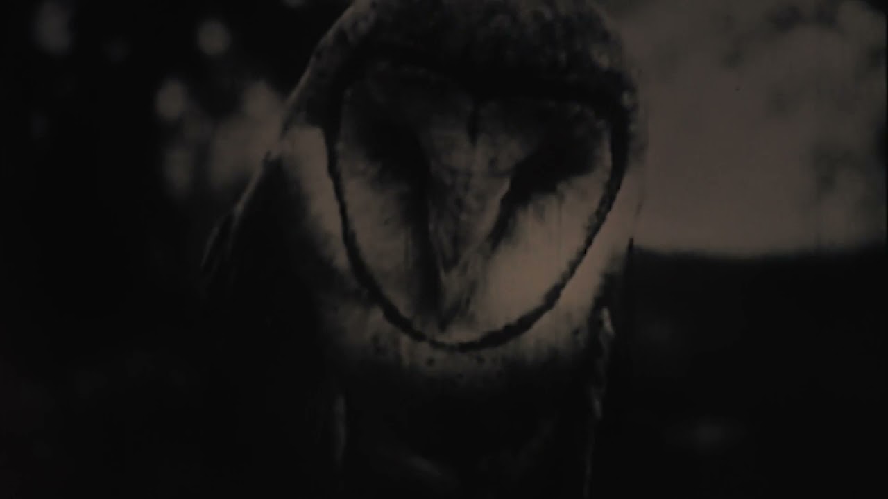 Owl's Breath