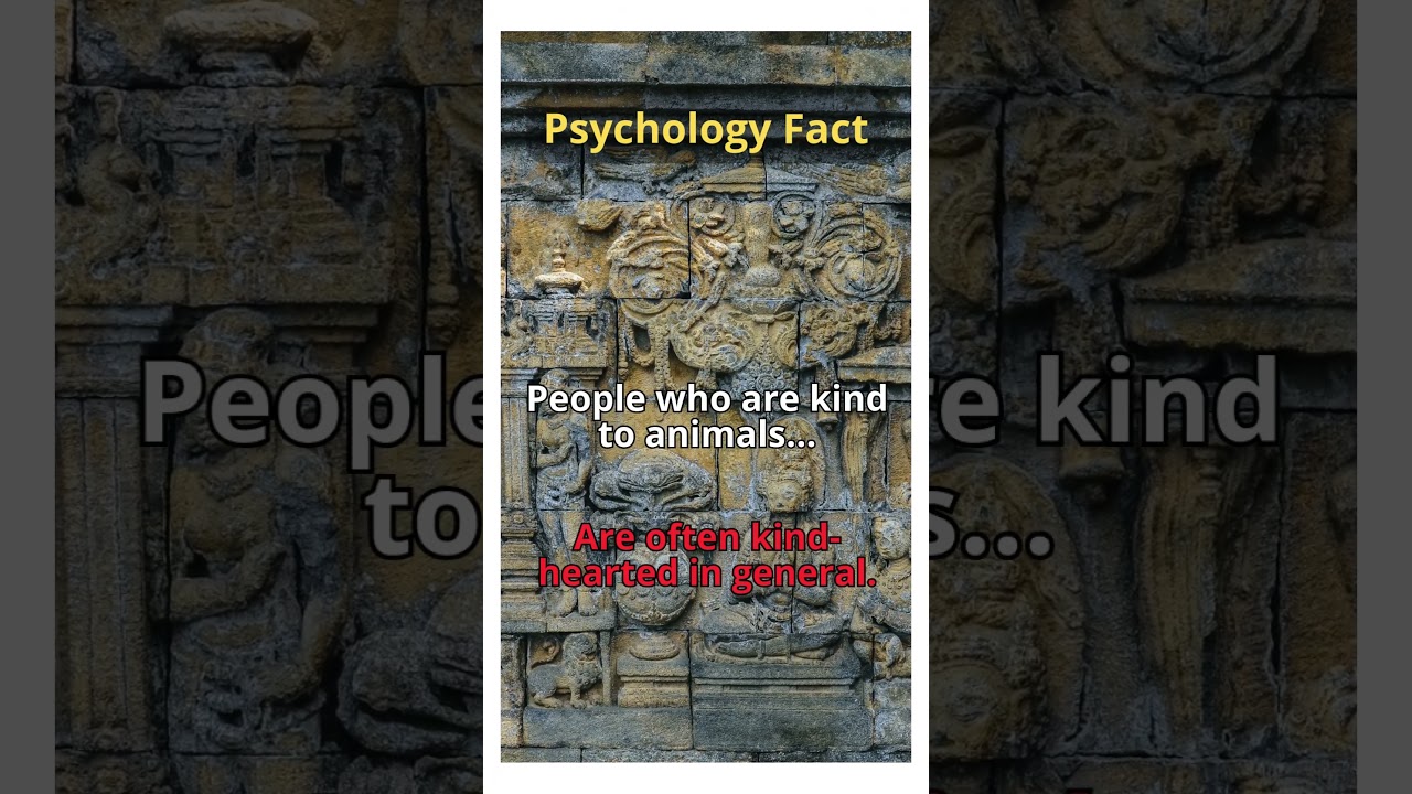 People who are kind to animals... #facts #quotes #psychologyfacts