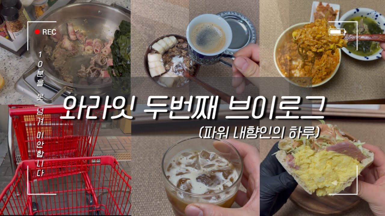 파워 내향인 밥 해먹고 장보고 또 밥먹는 일상