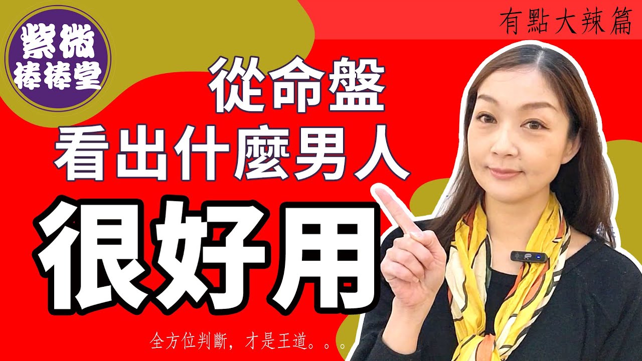 [紫微棒棒堂] 有點大辣篇：從命盤看出什麼男人很好用  ╳大悅
