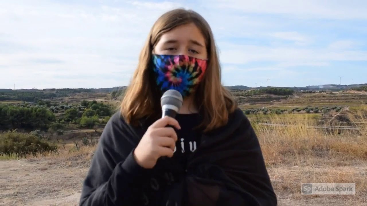 CASTANYADA 2020 ALUMNES 6è