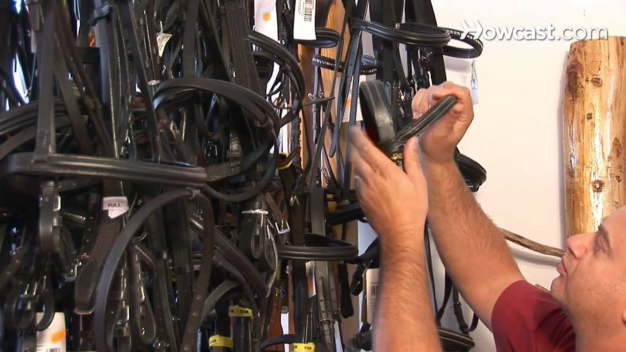 How to Buy a Horse Bridle