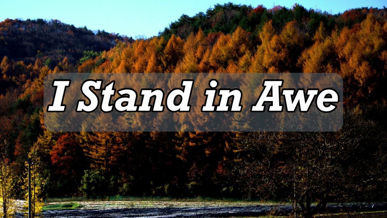 I Stand in Awe - Instrumental with lyrics