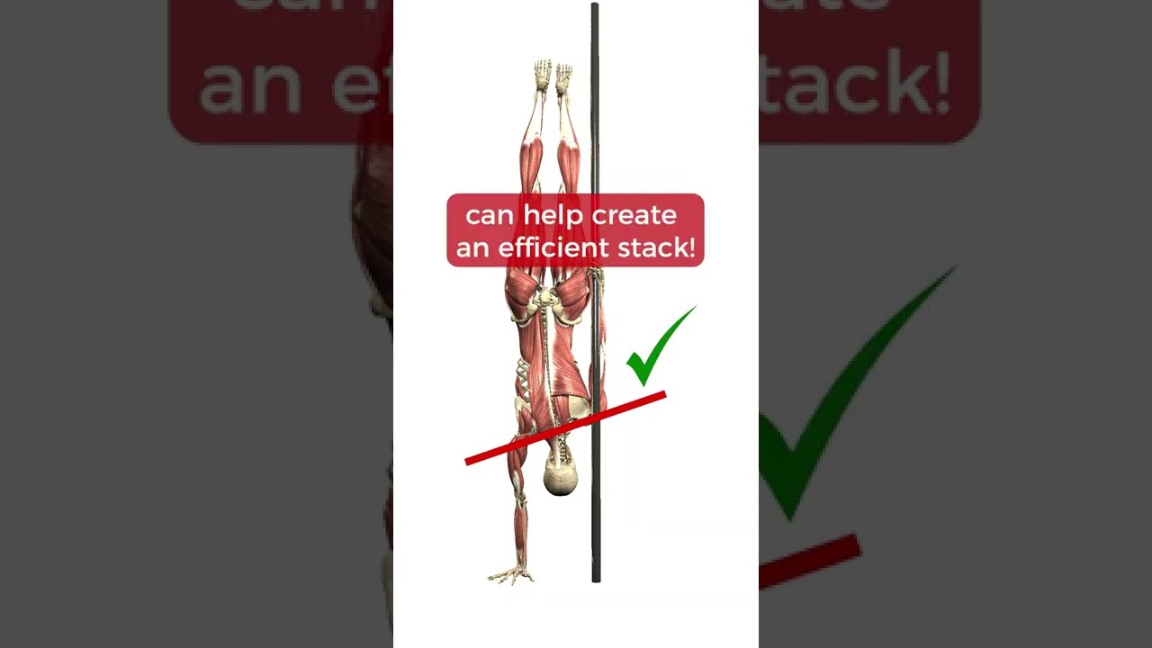 Pole Anatomy - Handstand