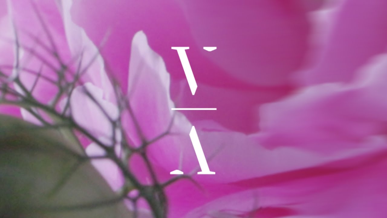 Parallel Voices - October
