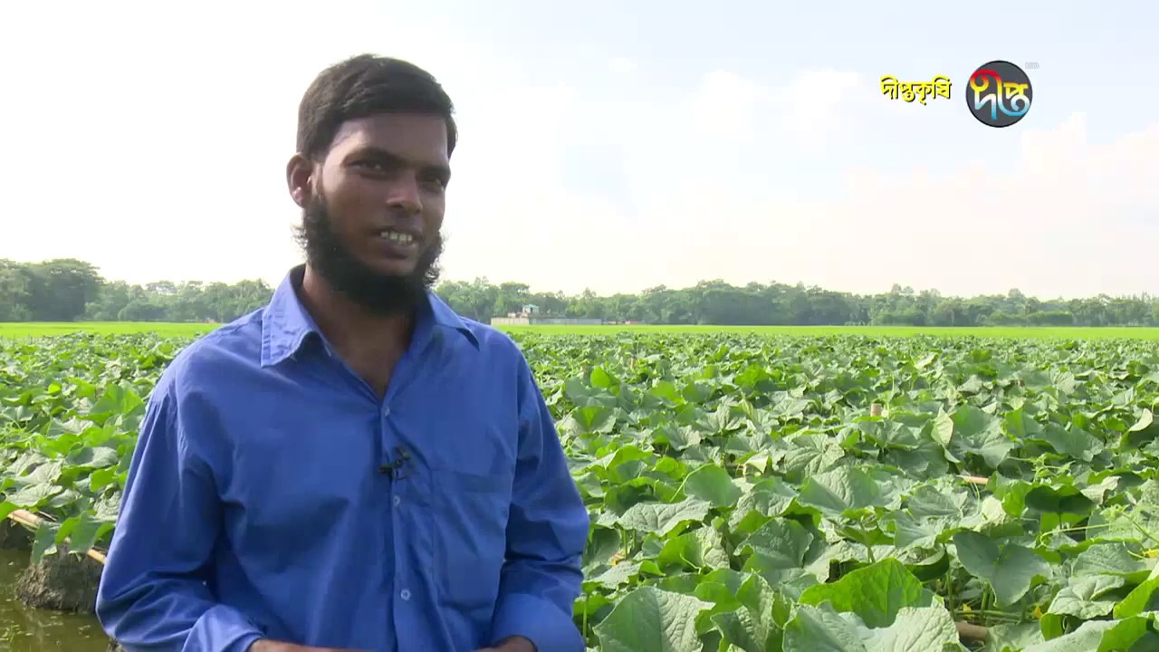 Deepto Krishi/দীপ্ত কৃষি - সারা বছর সবজি চাষ/ফেনী, পর্ব ৮৯