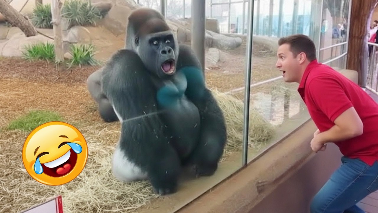 Funniest Animal Videos Ever 😂 #10 | Dogs & Cats Compilation That Will Make You Laugh Non-Stop 🐶🐱