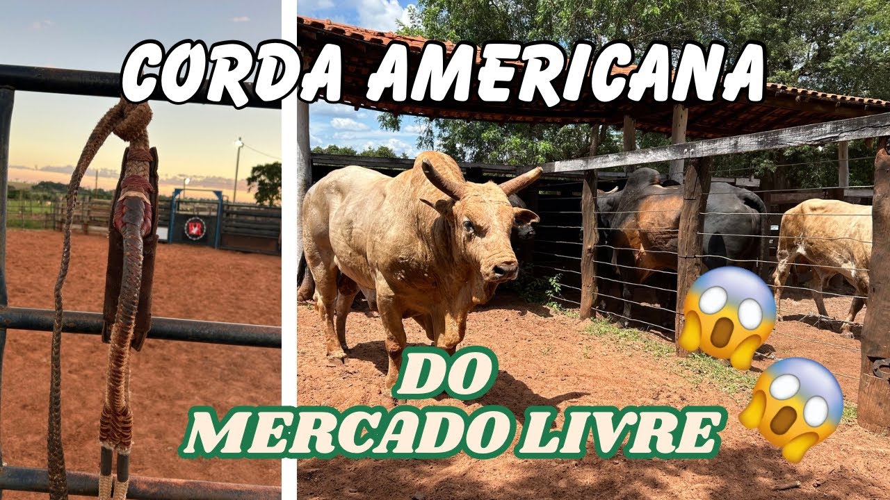 COMPREI UMA CORDA AMERICANA NO MERCADO LIVRE #vidarústica  #rodeio
