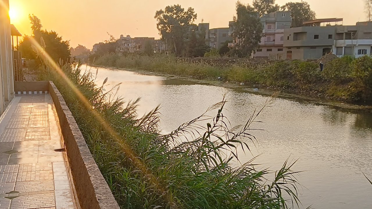 ريف مدينة المنصورة بمصر الرائع وشرح بالتفصيل countryside of Mansoura, Egypt, explained in detail