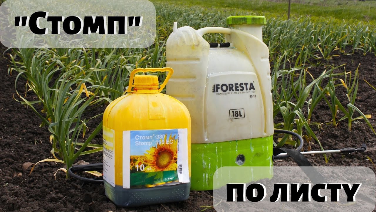 #часник Обробка грунтовим гербіцидом по листу часника