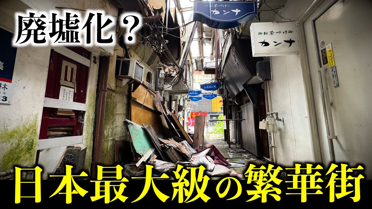 【衝撃】“日本一のシャッター商店街”で見た現実