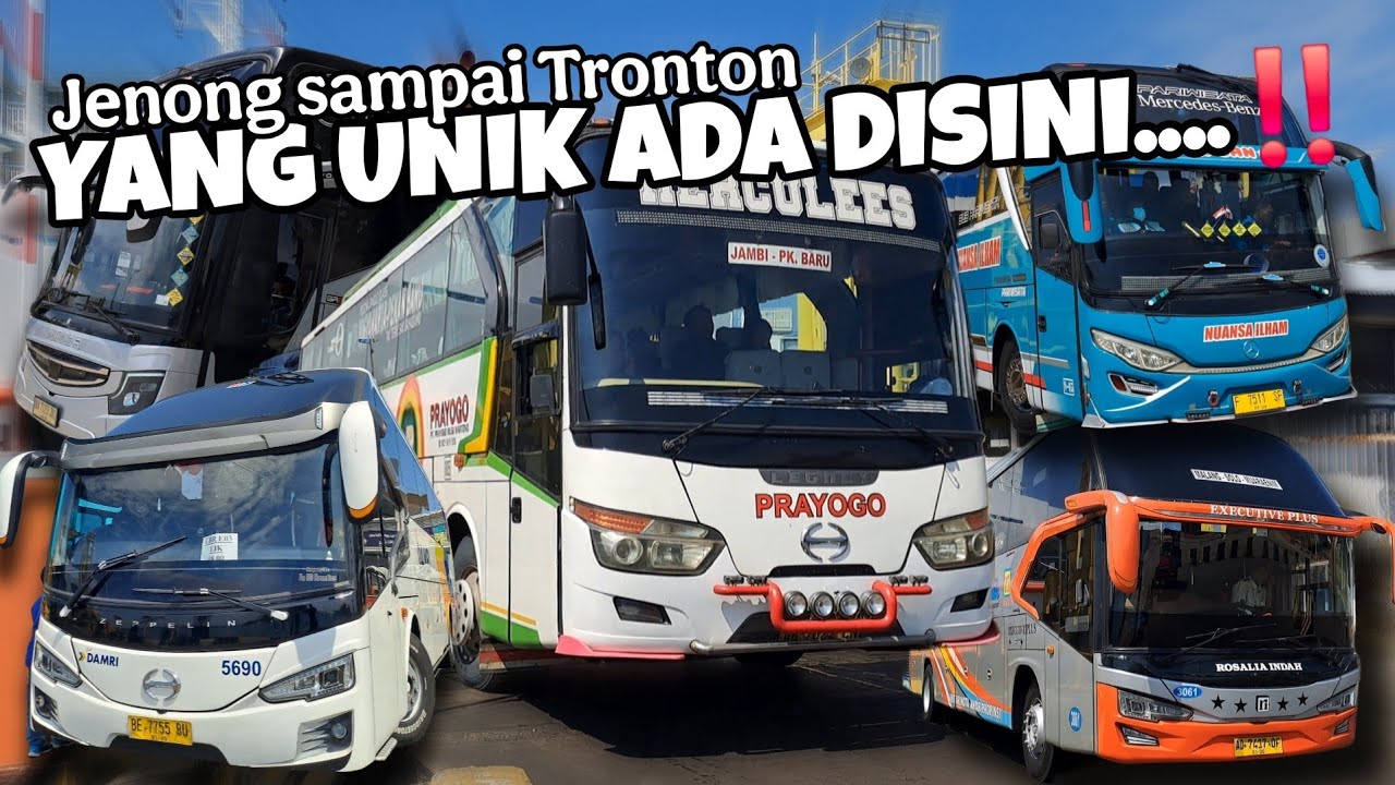 YANG UNIK ADA DISINI‼️Nuansa Ilham Gado Gado,, PRAYOGO Klasik, DAMRI team Pagi, MIYOR European Style