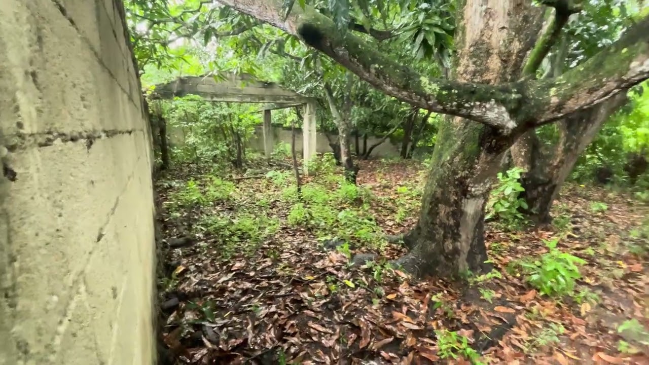 Terreno de 38 mil M. en Nigua 8298618303 Kelvin Volquez.