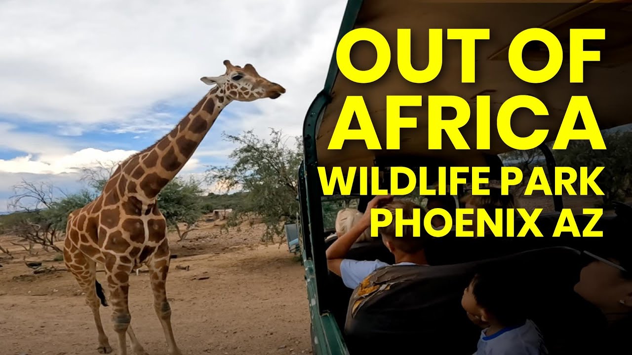 𝗢𝗨𝗧 𝗢𝗙 𝗔𝗙𝗥𝗜𝗖𝗔 𝗪𝗜𝗟𝗗𝗟𝗜𝗙𝗘 𝗣𝗔𝗥𝗞 | Phoenix, Arizona