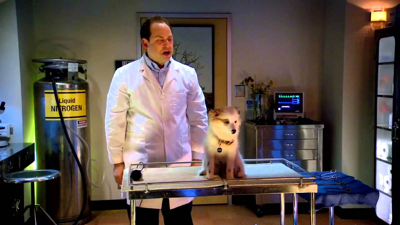 Dog With A Blog - Puppy Stan