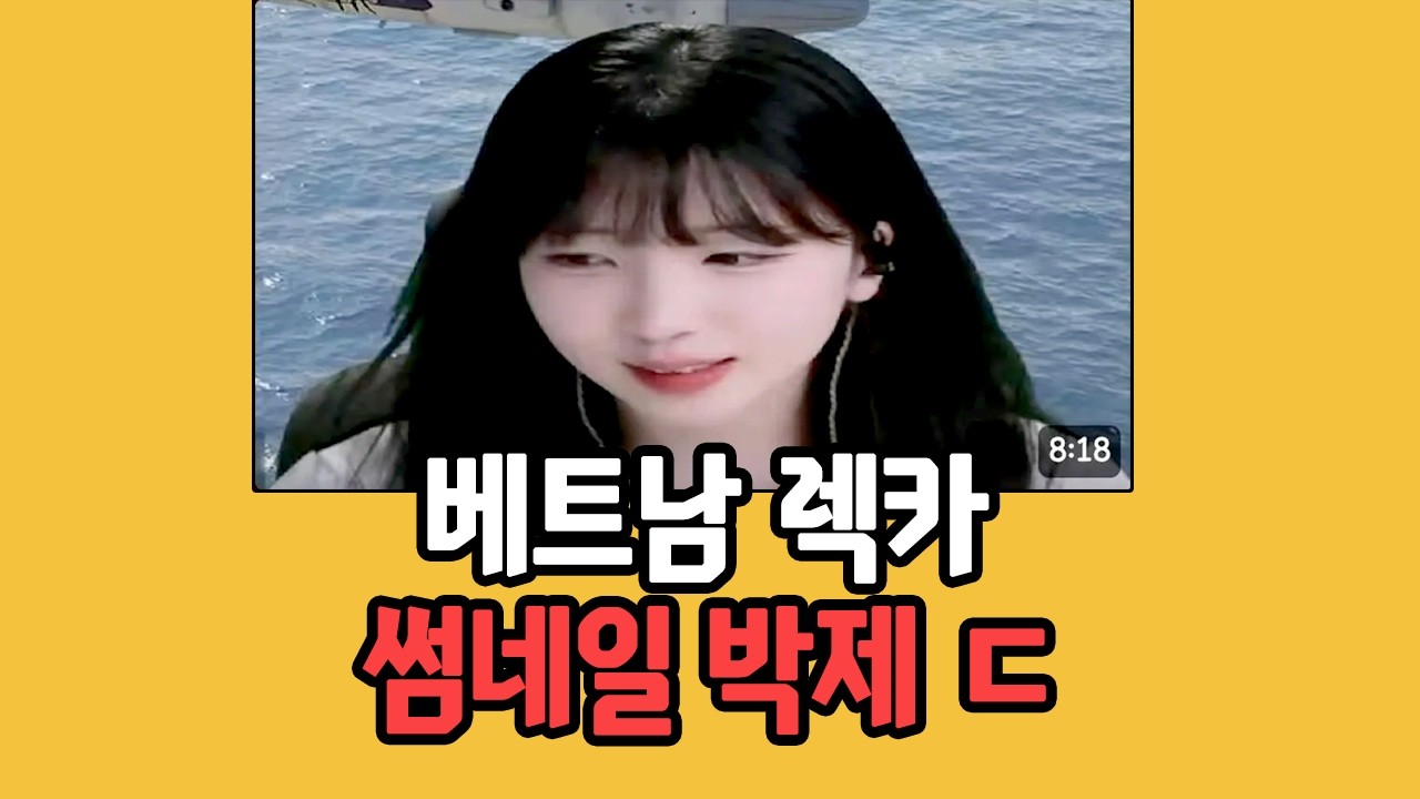 배그 방플 한국 스트리머 때문이라며 박제시킨 베트남 행동