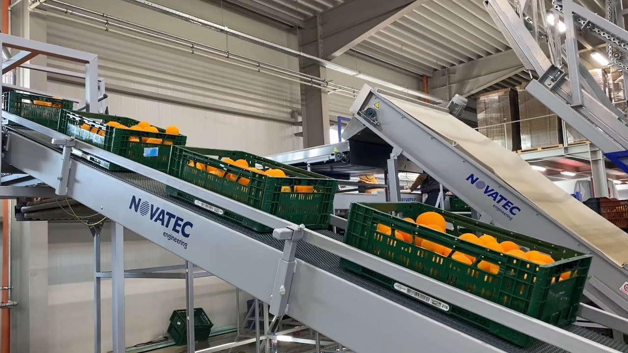 Novatec SA | Advanced Sorting & Processing Technology for Fresh Produce | Berlin  Fruit Logistica.