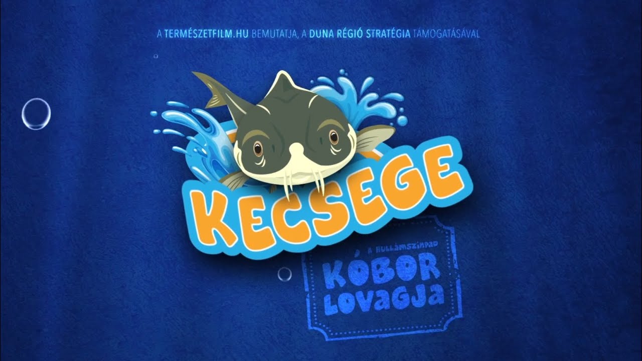 A hullámszínpad kóbor lovagja: A Kecsege