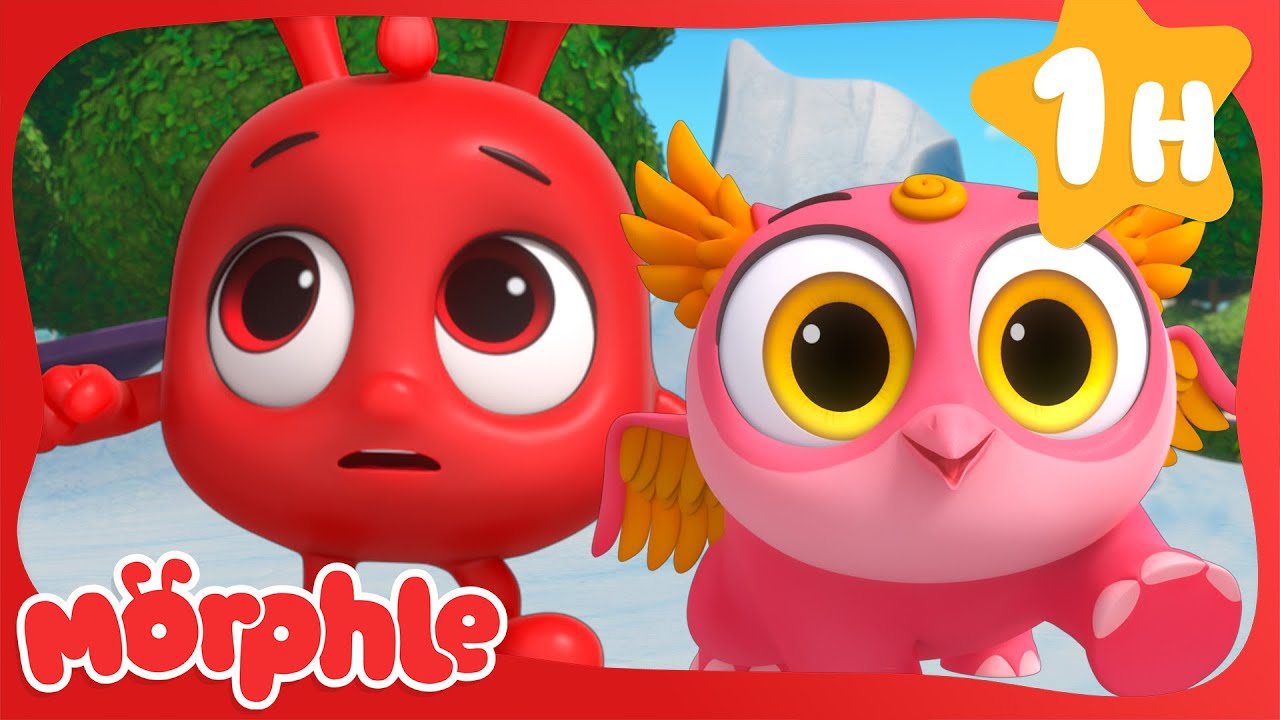 Hoot Hoot! 🦉| Fun Animal Cartoons | @MorphleTV  | Learning for Kids