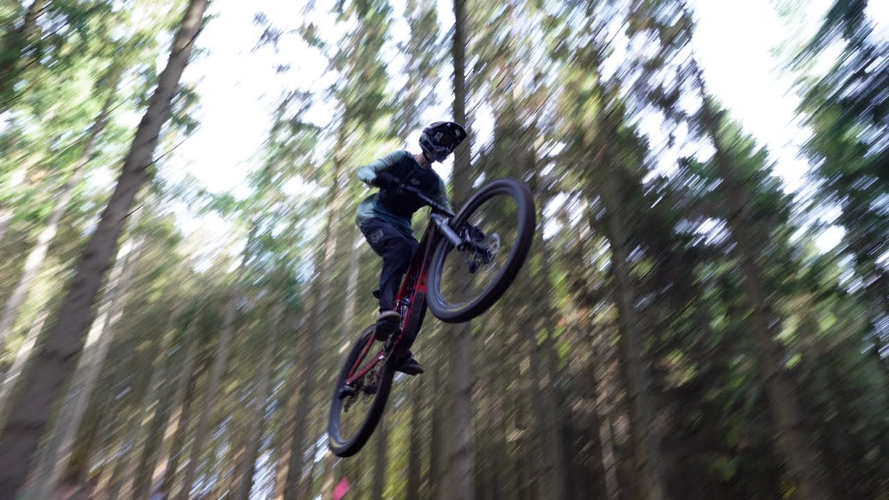 Forrest Freeride by Elliot Falhof