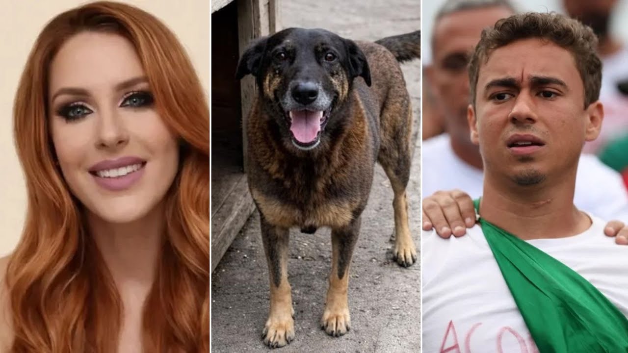 CONFIRA AS PRINCIPAIS NOTÍCIAS DESTA SEGUNDA-FEIRA