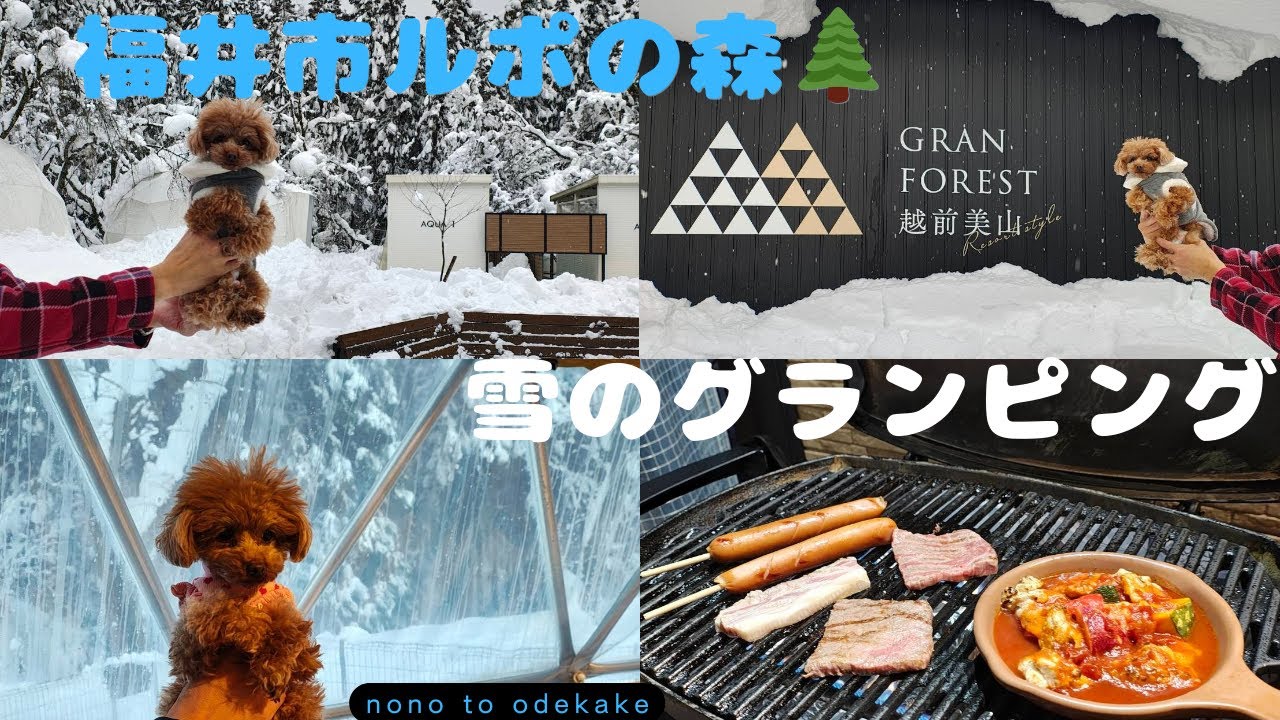 【ルポの森：グランピング】わんこと冬のグランピング。大雪の福井で温泉とバーベキュー
