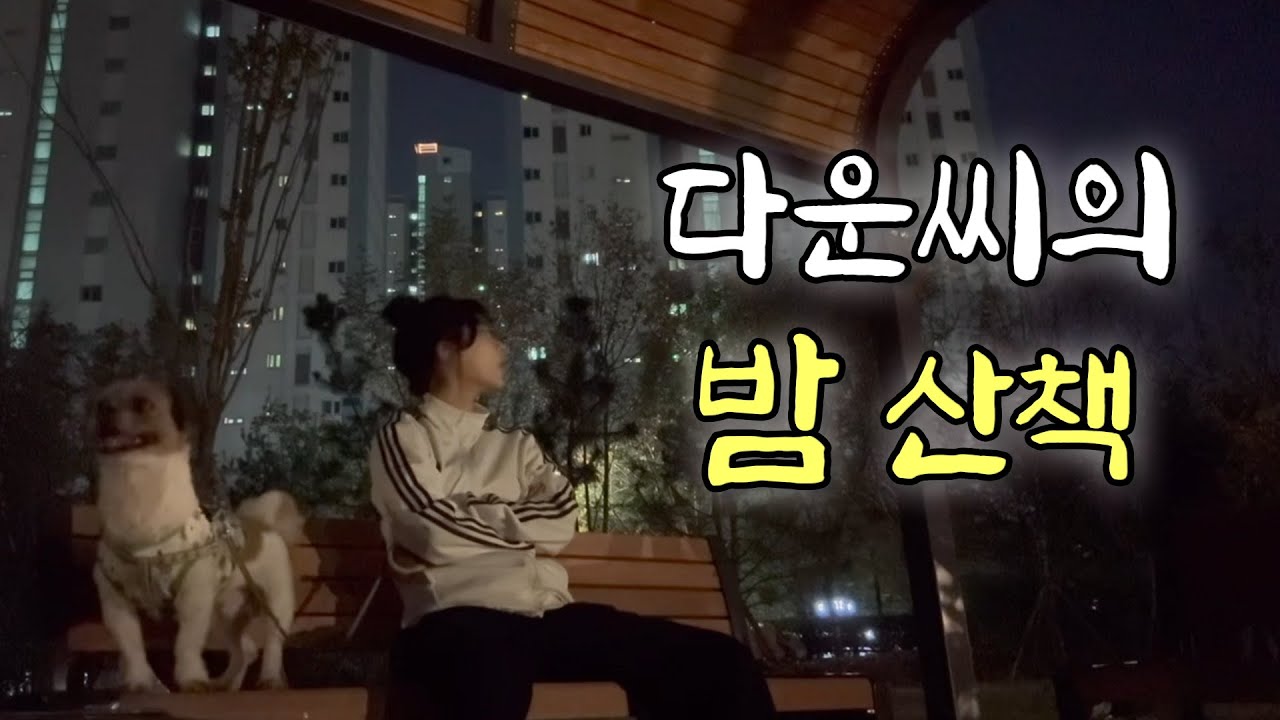 다운&주몽 밤 산책 준비갈완료🏃‍♀️오늘밤 주몽이가 이 밤거리를 지배한다😎이것이 진정한 주객전도?!!🤯✨