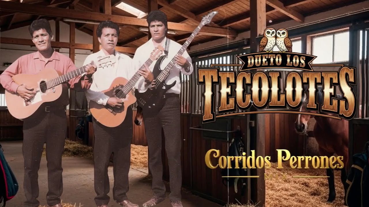 Dueto Los Tecolotes: Guitarras y Canciones Rancheras (Grandes Éxitos)