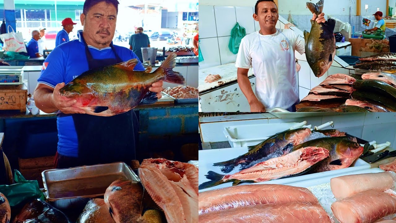 MERCADÃO 2000 E FEIRA DO PEIXE OU TABLADO,AS FEIRAS MAIS IMPORTANTE NA VENDA DE PESCADOS DE STM.