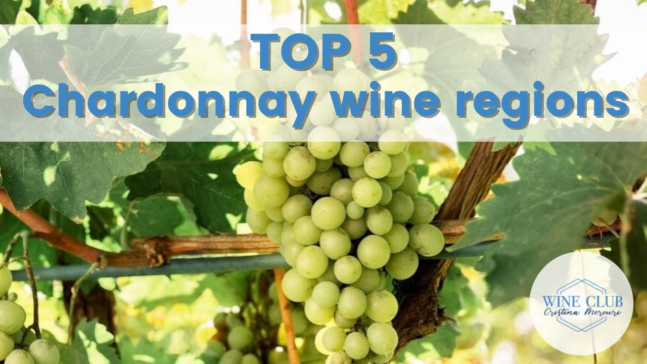 Top 5: le migliori regioni per la produzione di Chardonnay