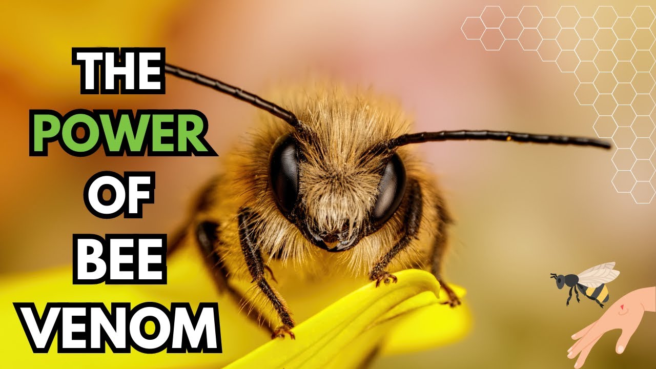 The UNBELIEVABLE POWER of Bees: Discovering BEE VENOM Therapy! #nature #bees #healing #health