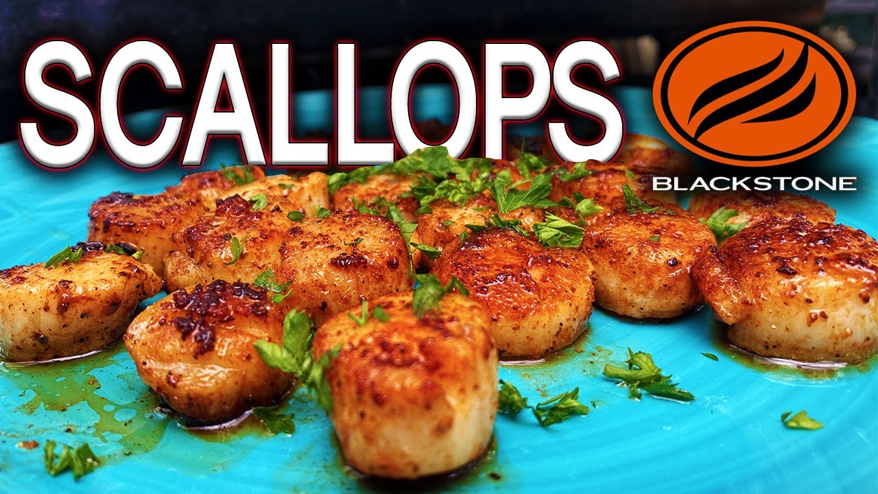 HOW TO COOK AMAZING SEA SCALLOPS ON THE BLACKSTONE GRIDDLE! EASY RECIPE