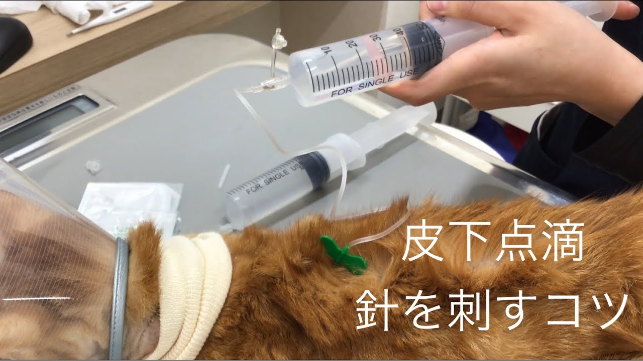 皮下点滴(針を刺すコツ)