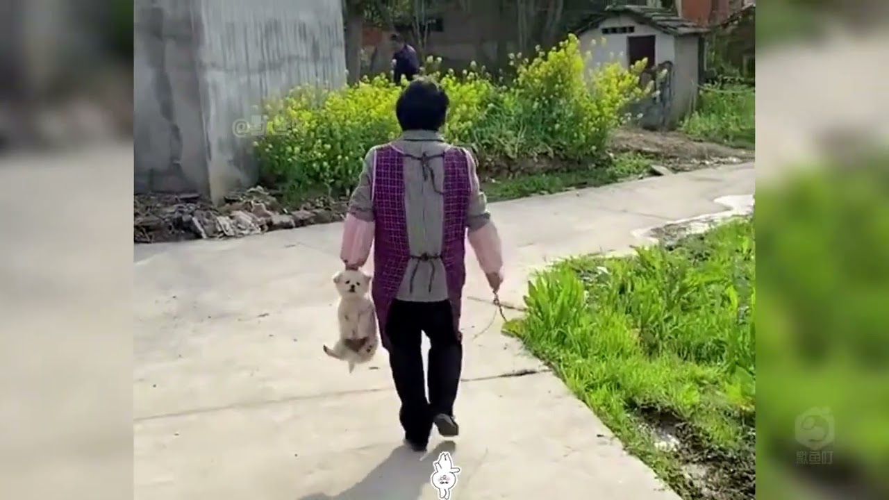 “那些年，爷爷奶奶带大的猫狗！”