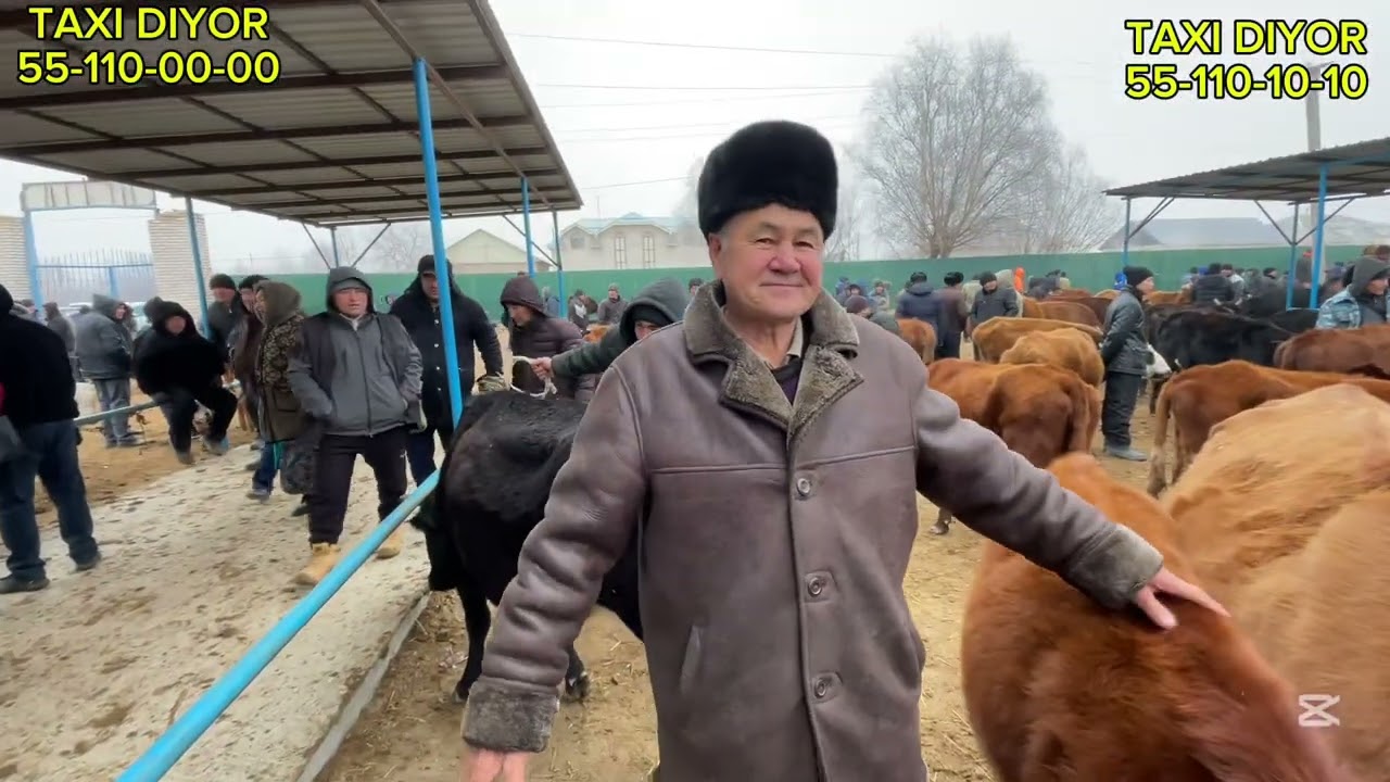 7-ДЕКАБРЬ/2025/ШЫМБАЙ МАЛ БАЗАРЫ/ДЕМ БЕРМЕС МАЛ БАЗАР/МАЛ БАЗАР 2025