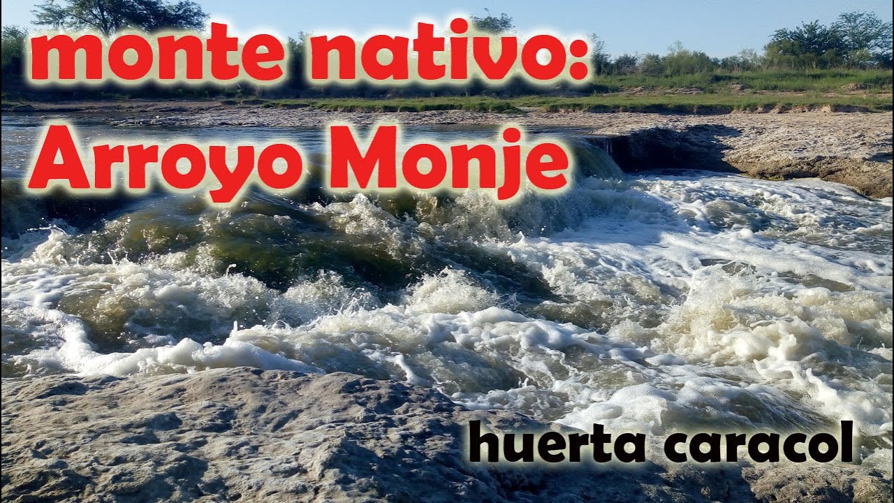Conociendo el monte nativo: Arroyo Monje