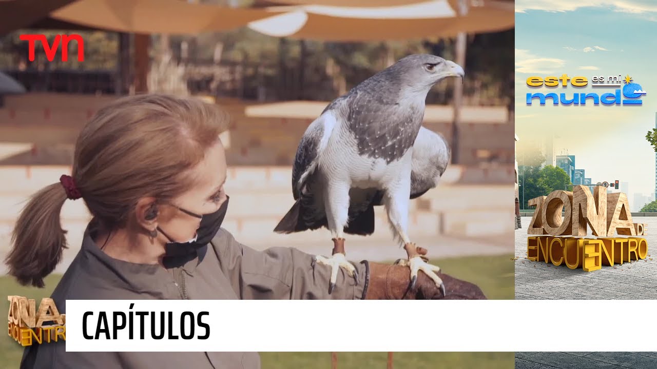 Buin Zoo | Este es mi mundo - T1E14